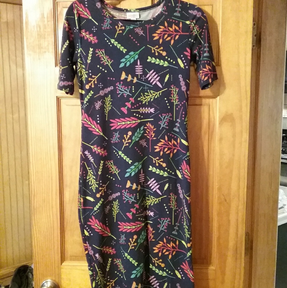 Xsmall Lularoe Julia